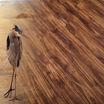 SPC ламинат Natura Орех Франэ C-001-12