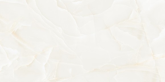 Керамогранит NT Ceramic NTT99504P Onyx Predo Керамогранит NT Ceramic NTT99504P Onyx Predo