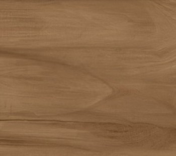 Керамогранит Alma Ceramica Ashton GFU92ATN44R 200*900 Керамогранит Alma Ceramica Ashton GFU92ATN44R 200*900