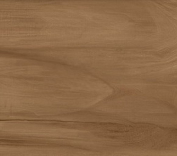 Керамогранит Alma Ceramica Ashton GFU92ATN44R 200*900