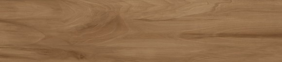 Керамогранит Alma Ceramica Ashton GFU92ATN44R 200*900