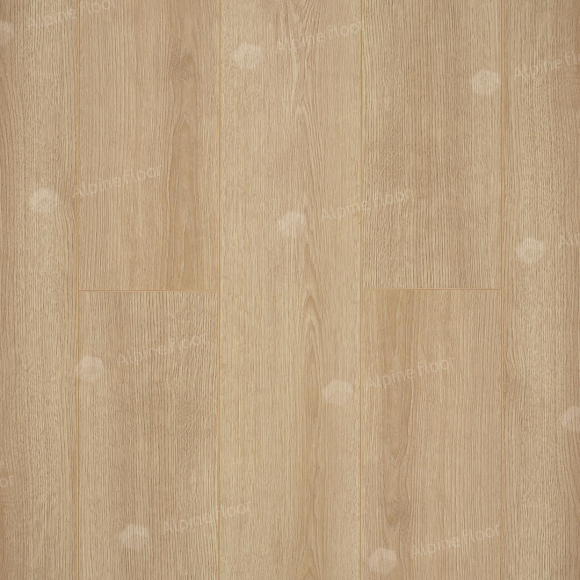 Ламинат Camsan Premium Дуб Натур P1002