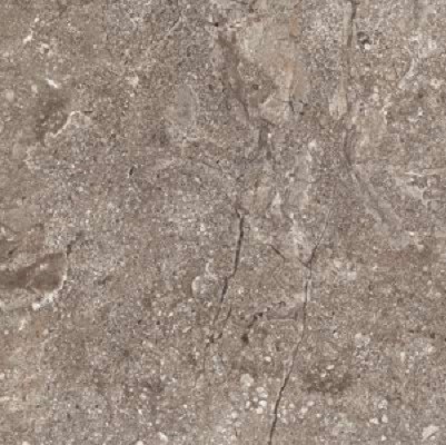 Керамогранит Leopard 6405 Stone Grey Polished 60x120