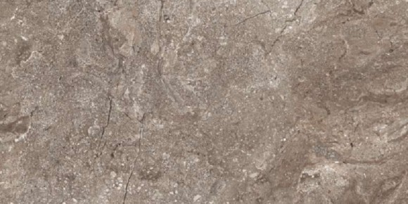 Керамогранит Leopard 6405 Stone Grey Polished 60x120