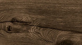 Керамогранит Bricola Roble 20*120 Керамогранит Bricola Roble 20*120