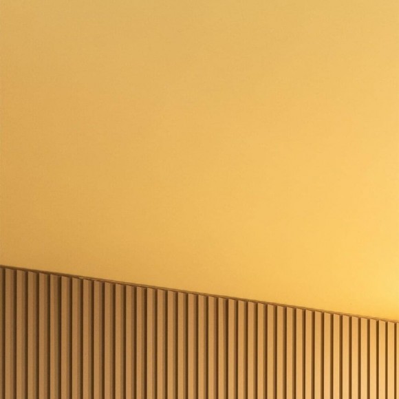 Стеновая панель Orac Decor WX204 Ripple