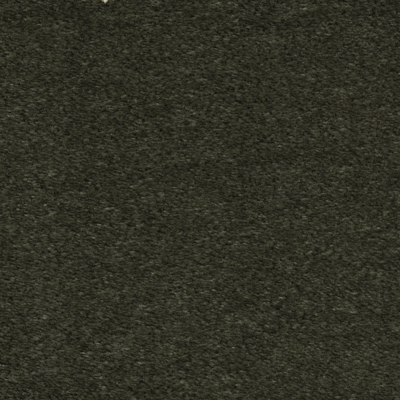 Ковровое покрытие AW Masquerade Euphoria 24