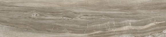 Керамогранит Alma Ceramica Wonderwood GFA92WDW40R 200*900