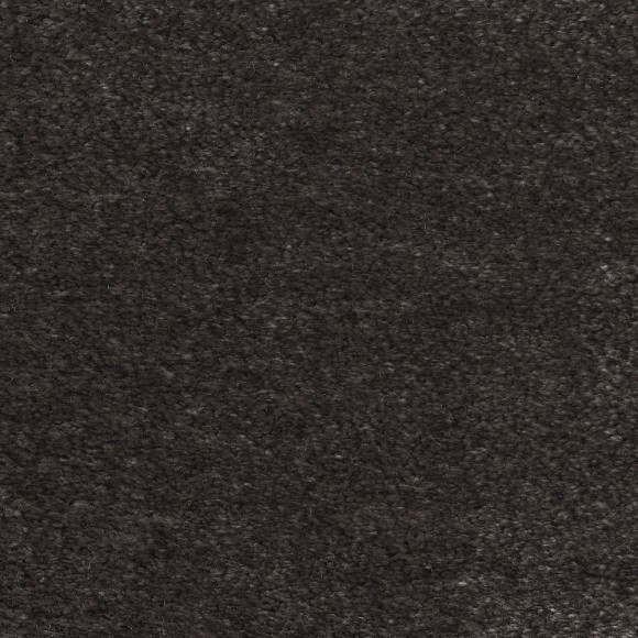 Ковровое покрытие AW Masquerade Euphoria 43