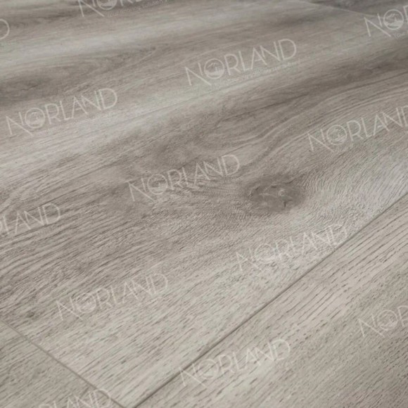 SPC PRO Ламинат NeoWood Renaevla 2001-7 SPC PRO Ламинат NeoWood Renaevla 2001-7