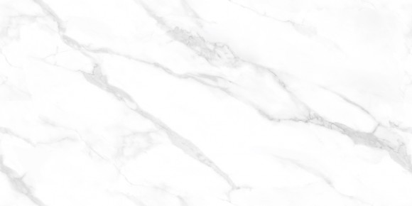 Керамогранит NT Ceramic NTT99506Р Statuario Endless 60*120