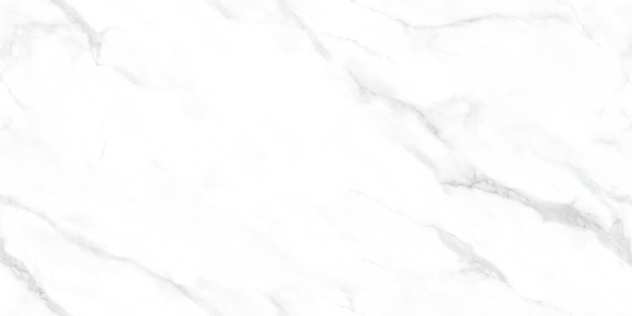 Керамогранит NT Ceramic NTT99506Р Statuario Endless 60*120