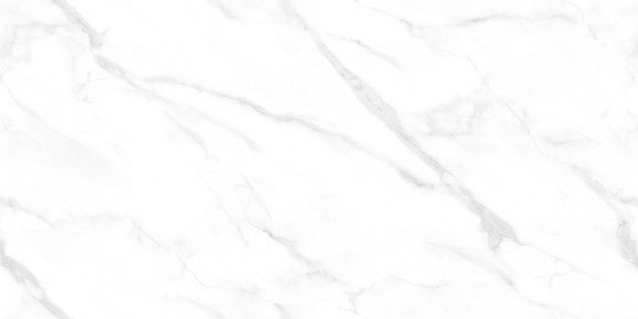 Керамогранит NT Ceramic NTT99506Р Statuario Endless 60*120