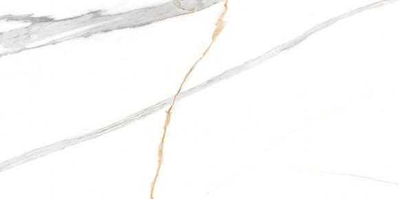 Керамогранит NT Ceramic NTT99513M Maritaca Statuario Ultra White 60*120 Керамогранит NT Ceramic NTT99513M Maritaca Statuario Ultra White 60*120