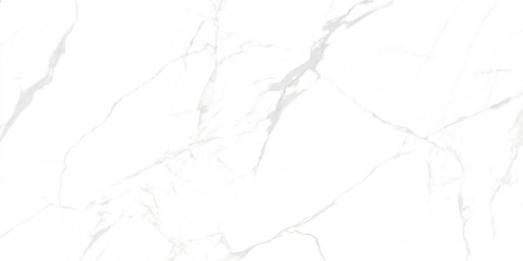 Керамогранит NT Ceramic NTT99607M Callacata Carving 60*120