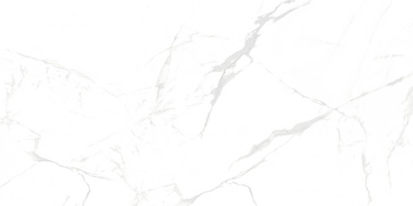 Керамогранит NT Ceramic NTT99607M Callacata Carving 60*120