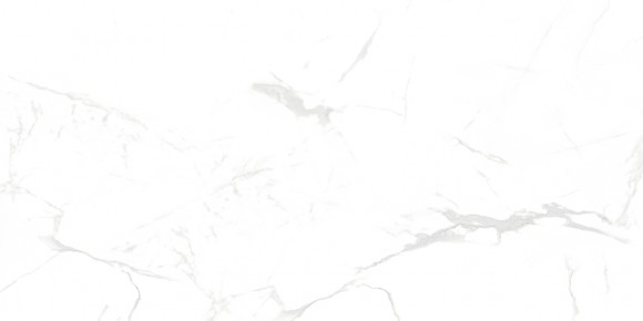 Керамогранит NT Ceramic NTT99607M Callacata Carving 60*120