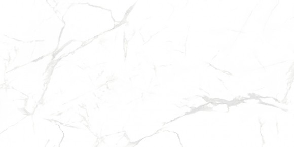 Керамогранит NT Ceramic NTT99607M Callacata Carving 60*120