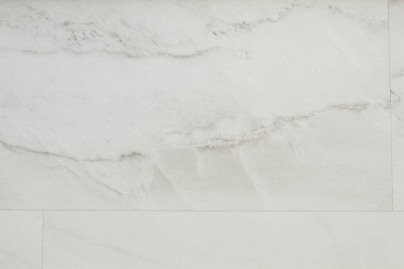 Брайс ECO 2004 - 20